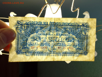5 крон 1944(Хорошая) до 29.11.22 в 22-00 - IMG_20221126_133951