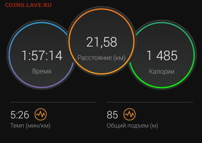 Кто-нибудь бегает? - Screenshot_20221127-110715_Connect