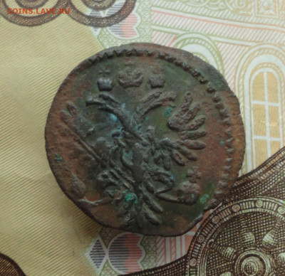 Кладовая полушка 1730 года перечекан. До 30.11.22. - DSC02723.JPG