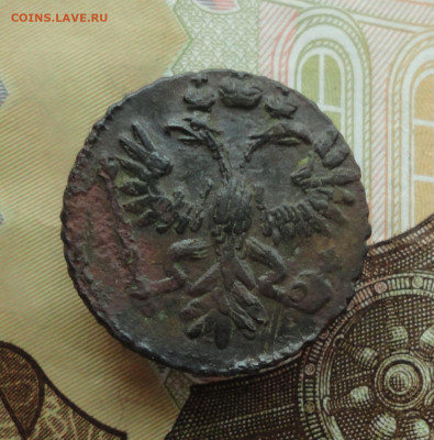 Кладовая полушка 1731 года перечекан. До 30.11.22. - DSC02732.JPG