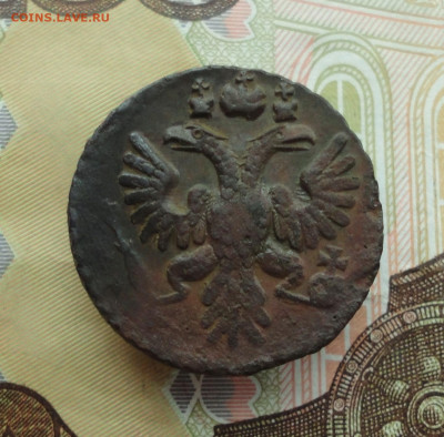 Кладовая полушка 1734 года. До 30.11.22. - DSC02746.JPG