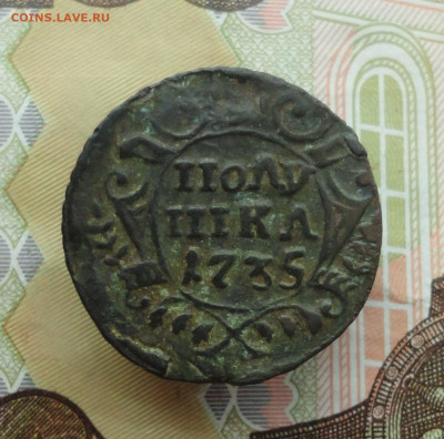 Кладовая полушка 1735 года. До 30.11.22. - DSC02749.JPG