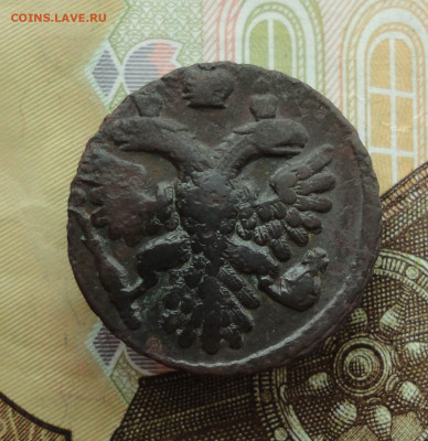 Кладовая полушка 1739 года. До 30.11.22. - DSC02762.JPG