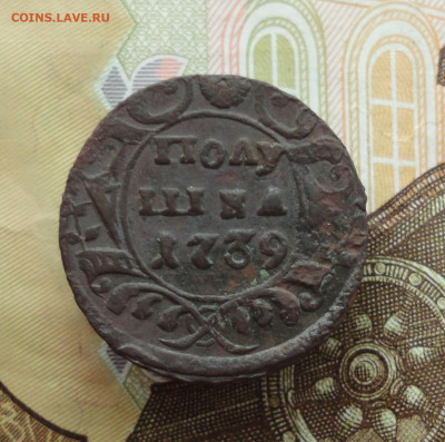 Кладовая полушка 1739 года. До 30.11.22. - DSC02761.JPG