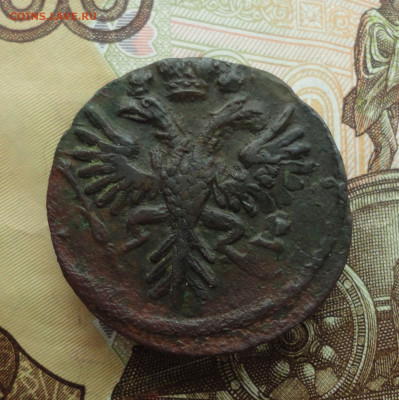 Кладовая денга 1731 года с одной чертой. До 30.11.22 - DSC02785.JPG