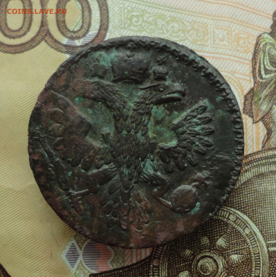 Кладовая денга 1737 года. До 30.11.22. - DSC02828.JPG