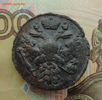 Кладовая денга 1738 года. До 30.11.22. - DSC02834.JPG