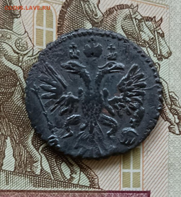 Полушка 1731 с остями . - 10