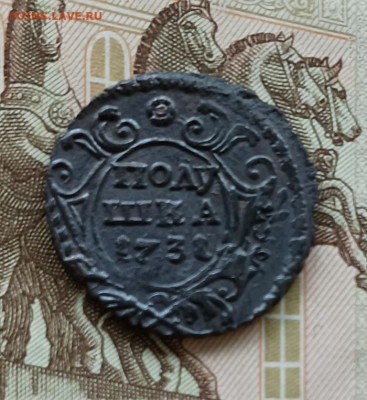 Полушка 1731 с остями . - 9