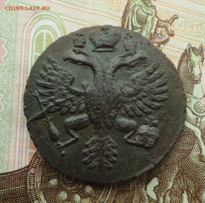 Денга 1730 года кислый орел. - DSC02922.JPG