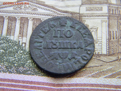 полушка 1704 ПОВЕЛИТЕЛЬ до 2.12 в 22.00 по Москве - Изображение 9347