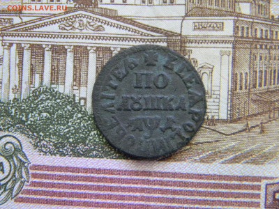полушка 1704 ПОВЕЛИТЕЛЬ до 2.12 в 22.00 по Москве - Изображение 9346
