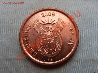 ЮЖНАЯ АФРИКА 5с 2009г. ЦАПЛЯ до 10.12.11 в 22-00 - MEMO0004.JPG