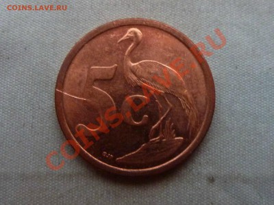 ЮЖНАЯ АФРИКА 5с 2009г. ЦАПЛЯ до 10.12.11 в 22-00 - MEMO0003.JPG