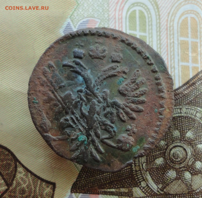 Кладовая полушка 1730 года перечекан. До 30.11.22. - DSC03031.JPG