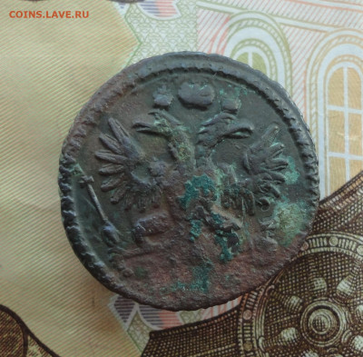 Кладовая полушка 1734 года перечекан. До 30.11.22. - DSC03029.JPG