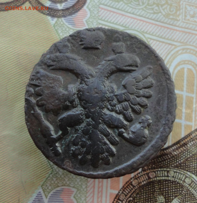 Кладовая полушка 1739 года. До 30.11.22. - DSC03041.JPG