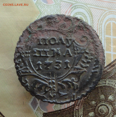 Кладовая полушка 1731 года перечекан. До 30.11.22. - DSC03034.JPG