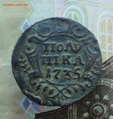 Кладовая полушка 1735 года. До 30.11.22. - DSC03091.JPG