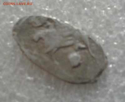 Алексей Михайлович? - 20221129_190706