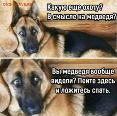 юмор - IMG-20221129-WA0010