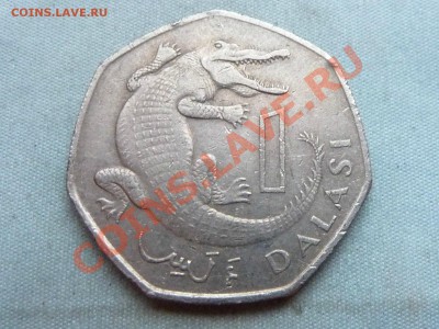 ГАМБИЯ 1 даласи1998г.КРОКОДИЛ РЕБРИСТАЯ до 10.12.11 в 22-00 - MEMO0050.JPG