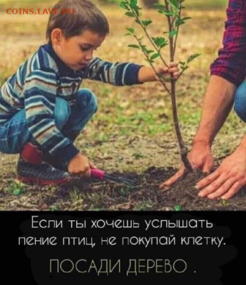 Мудрые изречения. - i (4)