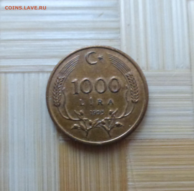 Турция, 1000 лир 1995 г. - P1060603.JPG