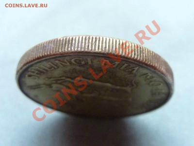 ТАНЗАНИЯ 100 SHILINGI 1994г. АНТИЛОПЫ до 10.12.11 в 22-00 - MEMO0075.JPG