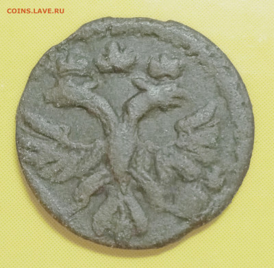 Вопросы по полушке 1720 - Полушка 1720 аверс_cr