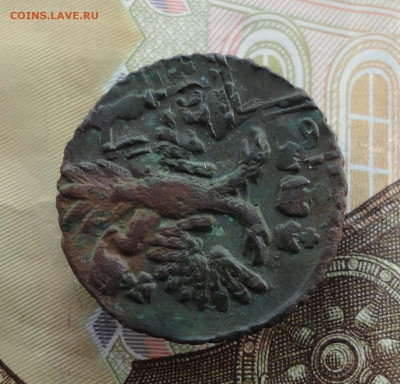 Кладовая полушка 1731 года перечекан. До 4.12.22. - DSC03197.JPG