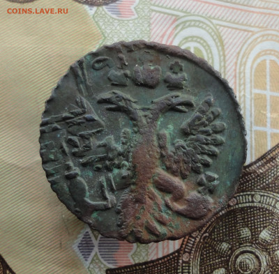 Кладовая полушка 1731 года перечекан. До 4.12.22. - DSC03195.JPG