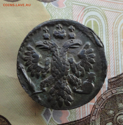 Кладовая полушка 1736 года. До 4.12.22. - DSC03205.JPG