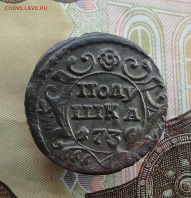 Кладовая полушка 1736 года. До 4.12.22. - DSC03204.JPG