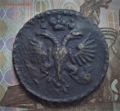 Денга 1731.  До 8.12.  22-00 - DSC04924 (3).JPG