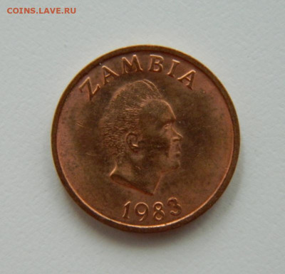 Замбия 1 нгве 1983 г. (Фауна) до 08.12.22 - DSCN1291.JPG
