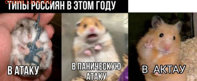 юмор - IMG-20221130-WA0011