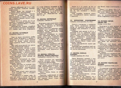 Ф.В. ФЕДОРОВ ГРИБЫ 1994 г. до 09.12.22 г. в 23.00 - 019