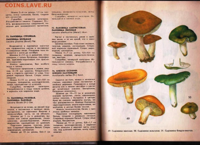 Ф.В. ФЕДОРОВ ГРИБЫ 1994 г. до 09.12.22 г. в 23.00 - 021