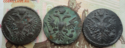 Денга 1731,35,37 года. - DSC03241.JPG