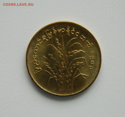 Бирма (Мьянма) 10 пья 1983 г. (ФАО) до 08.12.22 - DSCN4798.JPG