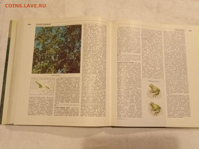 Лесная энциклопедия.в 2 тт. До 9 12 2022 - IMG20221203192345_01