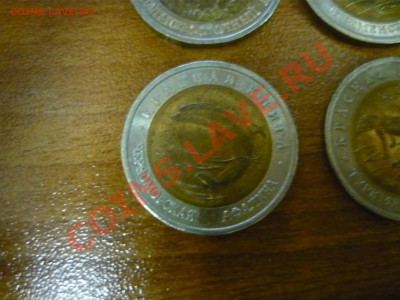 шт - P1130068.JPG