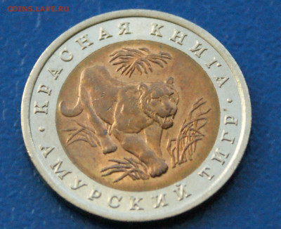 КК 10 рублей 1992 г. Амурский тигр до 10.12 - 30.1.1.3.JPG