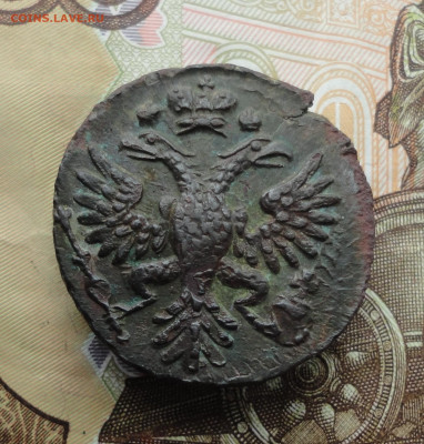Кладовая денга 1731 года перечекан. Лот-2. До 8.12.22. - DSC03253.JPG