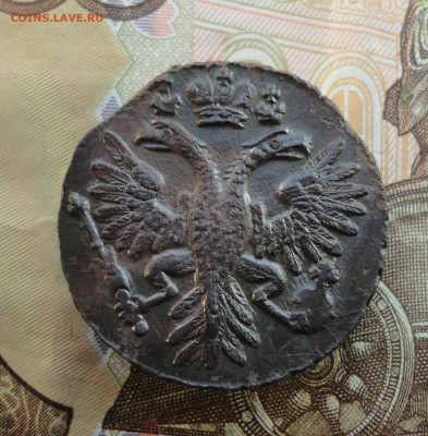 Кладовая денга 1731 года перечекан. Лот-3. До 8.12.22. - DSC03363.JPG