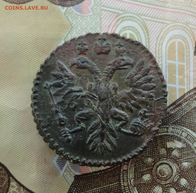 Кладовая полушка 1730 года перечекан. До 8.12.22. - DSC03329.JPG