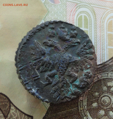 Кладовая полушка 1731 года перечекан. Лот-1 До 8.12.22. - DSC03332.JPG