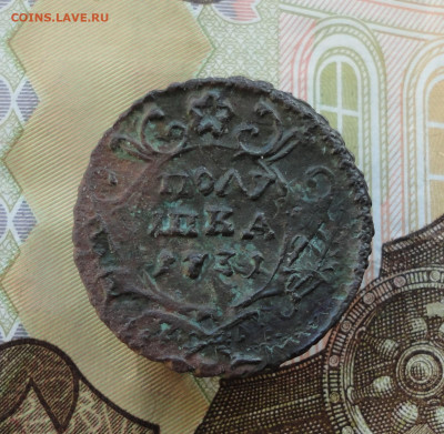 Кладовая полушка 1731 года перечекан. Лот-1 До 8.12.22. - DSC03338.JPG