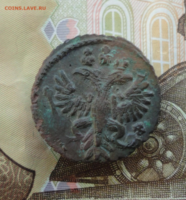 Кладовая полушка 1731 года перечекан. Лот-2 До 8.12.22. - DSC03342.JPG